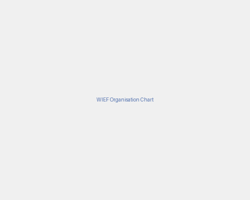 WIEF Foundation Organisation Chart